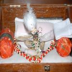 Vraj-Yatra-2014- (1080)